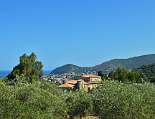 Blick aus einem Olivenhain auf San Andrea, dem Tresino-Hügel und (wie immer) aufs Meer