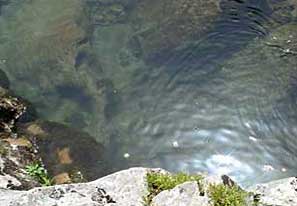 Glasklares Wasser aus den Bergen des Cilento
