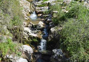 Das grüne Hinterland im Cilento Das grüne Hinterland im Cilento