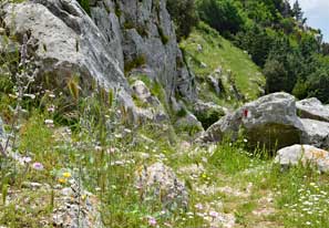 Wandern durch die Natur des Cilento Nationalparks Wandern durch die Natur des Cilento Nationalparks